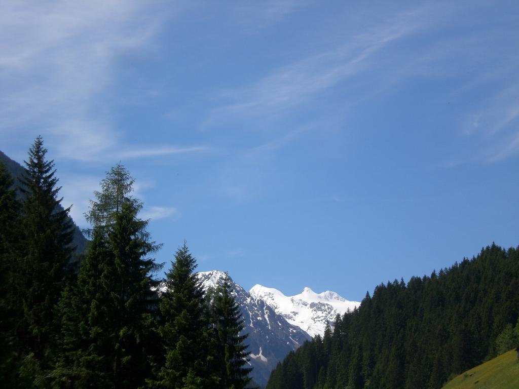 Landhaus Auen Apartment Neustift im Stubaital Exterior photo